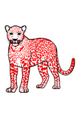 How To Draw A Cheetah (Side) Step By Step - Step 8