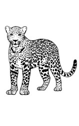 How To Draw A Cheetah (Side) Step By Step - Step 9
