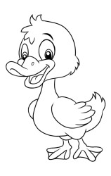 How to draw a duck step by step - Step 8