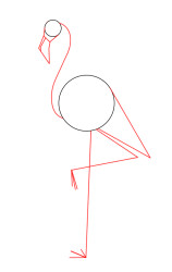 How to draw a flamingo step by step - Step 2