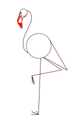 How to draw a flamingo step by step - Step 3