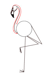 How to draw a flamingo step by step - Step 4
