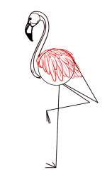 How to draw a flamingo step by step - Step 5