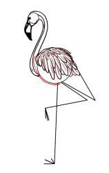 How to draw a flamingo step by step - Step 6