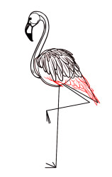 How to draw a flamingo step by step - Step 7