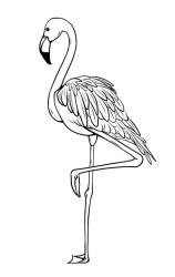 How to draw a flamingo step by step - Step 9