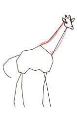 How to draw a giraffe step by step - Step 4