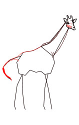How to draw a giraffe step by step - Step 5