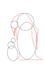 How to draw mother and baby penguins step by step? - Step 2