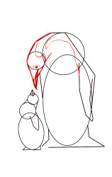 How to draw mother and baby penguins step by step? - Step 4