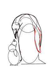 How to draw mother and baby penguins step by step? - Step 6