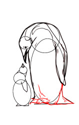 How to draw mother and baby penguins step by step? - Step 7