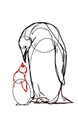 How to draw mother and baby penguins step by step? - Step 8