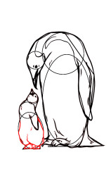 How to draw mother and baby penguins step by step? - Step 9