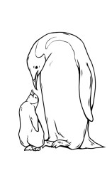 How to draw mother and baby penguins step by step? - Step 10