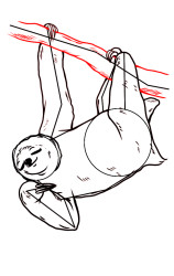How to Draw a Sloth Step by Step - Step 7