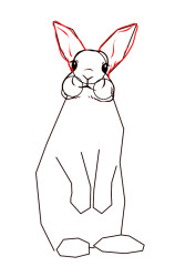 How to draw a bunny easy step by step - Step 4