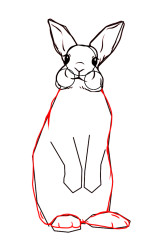 How to draw a bunny easy step by step - Step 5
