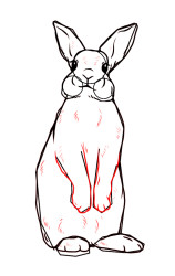 How to draw a bunny easy step by step - Step 6