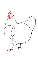 How to draw a hen step by step - Step 3
