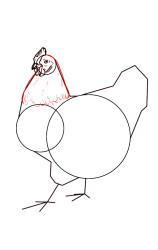 How to draw a hen step by step - Step 4