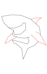 Step by step how to draw a shark - Step 2