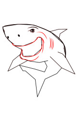 Step by step how to draw a shark - Step 4