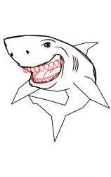 Step by step how to draw a shark - Step 5