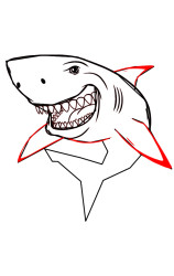 Step by step how to draw a shark - Step 6