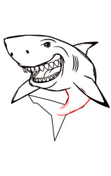Step by step how to draw a shark - Step 7