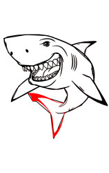 Step by step how to draw a shark - Step 8