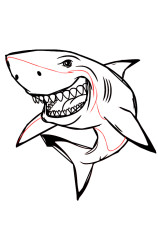 Step by step how to draw a shark - Step 9