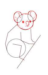 How to draw a koala bear step by step - Step 3