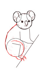 How to draw a koala bear step by step - Step 4