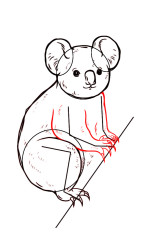 How to draw a koala bear step by step - Step 5