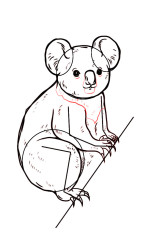 How to draw a koala bear step by step - Step 6
