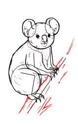 How to draw a koala bear step by step - Step 7