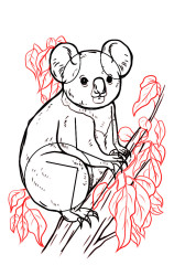 How to draw a koala bear step by step - Step 8
