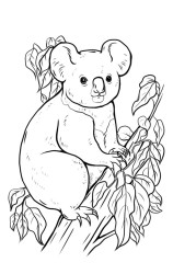 How to draw a koala bear step by step - Step 9