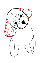 How to draw a puppy dog step by step - Step 4