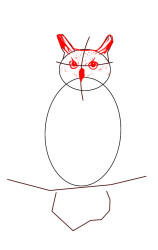 How to draw a owl step by step - Step 3