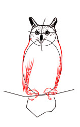 How to draw a owl step by step - Step 5