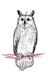How to draw a owl step by step - Step 8