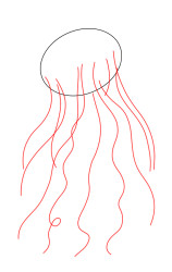 How to draw jellyfish step by step - Step 2