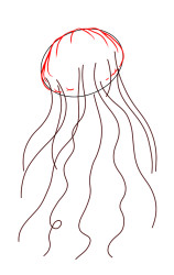 How to draw jellyfish step by step - Step 3