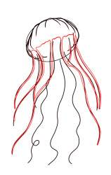 How to draw jellyfish step by step - Step 4
