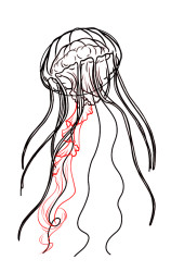 How to draw jellyfish step by step - Step 7