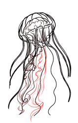 How to draw jellyfish step by step - Step 8