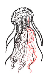 How to draw jellyfish step by step - Step 9