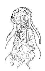 How to draw jellyfish step by step - Step 10